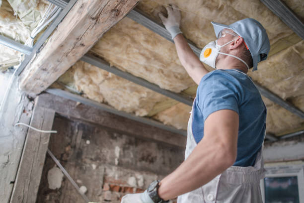 Best Specialty Insulation in Takoma Park, MD