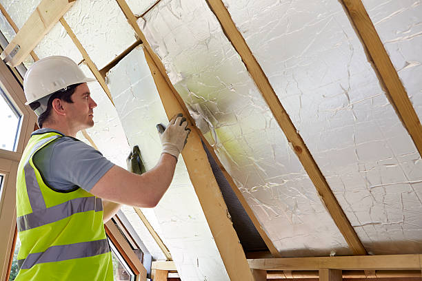 Best Insulation Maintenance and Repair in Takoma Park, MD